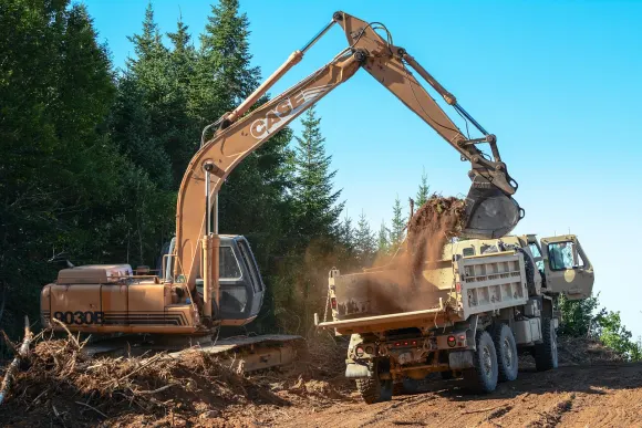 RockBet Casino Soporte